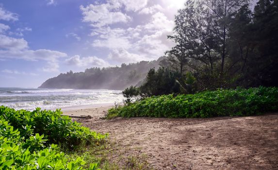 The beach along the coast of Kauai, Hawaii.