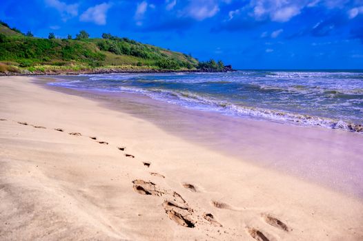 The beach along the coast of Kauai, Hawaii.