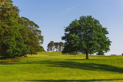 The open parkland of Dallam Park on a sunny evening Milnthorpe,