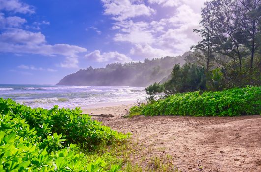 The beach along the coast of Kauai, Hawaii.