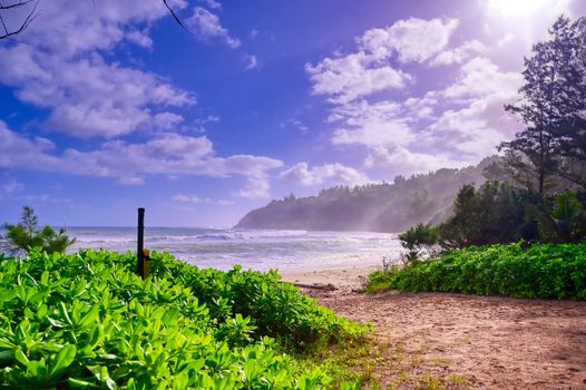 The beach along the coast of Kauai, Hawaii.