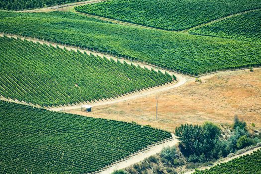 Farm lands landscape in Okanagan valley on summer day