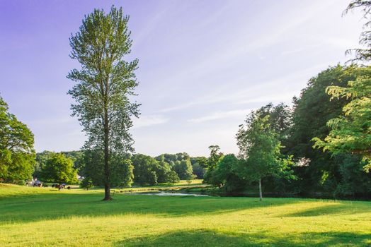 The open parkland of Dallam Park on a sunny evening Milnthorpe,