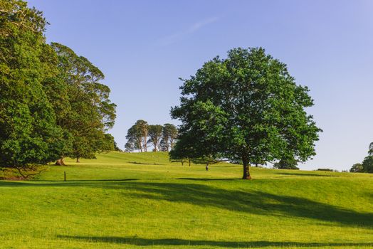 The open parkland of Dallam Park on a sunny evening Milnthorpe,