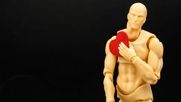 a plastic model holding a red wooden heart