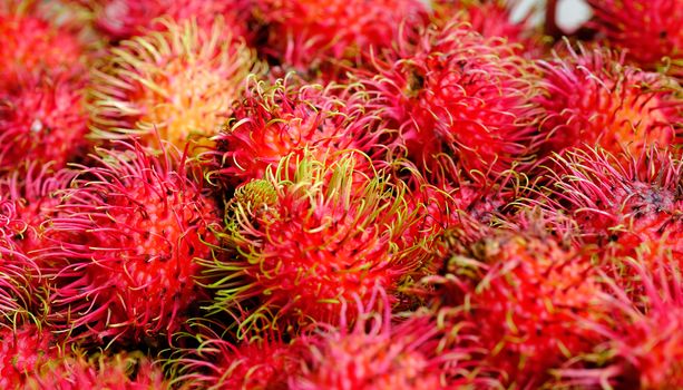 rambutan, famous tropical red and hairly fruit, grows in abandance in Thailand