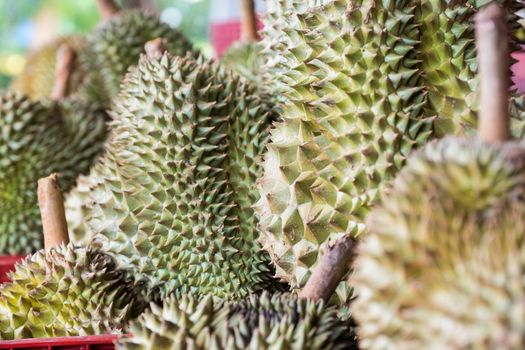 Durian, a spiny fruit with delicious taste.