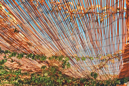 Wooden roof on the beach, nature and design