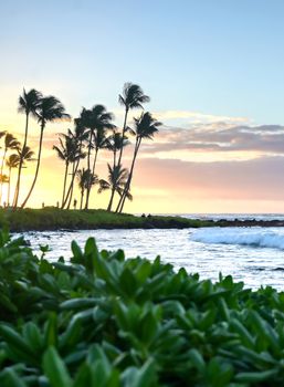 Sunrise over the coast of Kauai, Hawaii.