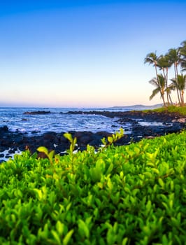 Sunrise over the coast of Kauai, Hawaii.