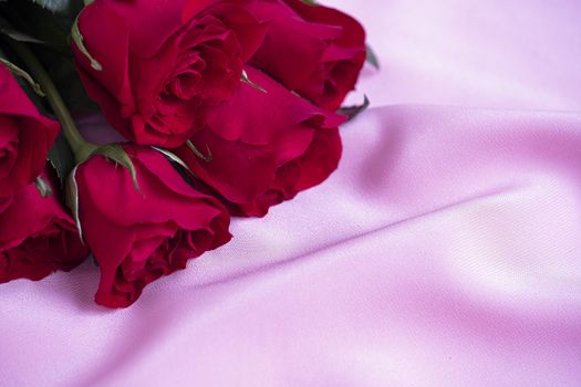 A beautiful single blooming red rose on soft pink slik cloth background.