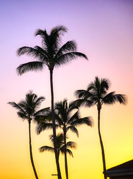 Sunset over the coast of Kauai, Hawaii.