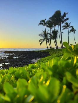 Sunset over the coast of Kauai, Hawaii.