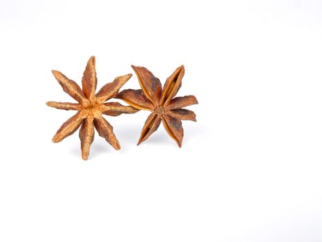 two brown star anises, isolated on white background