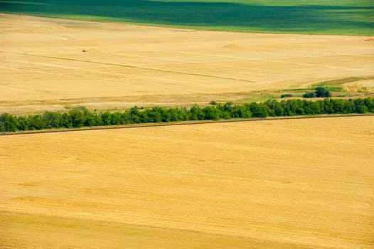 Aerial view of fields and meadows during a summer day