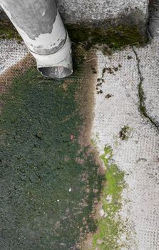 View from above of a gutter with green mossy drainage, on a old wall.