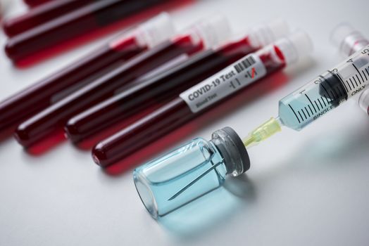 blood sample test tubes in laboratory rack , blood sample for COVID-19 test