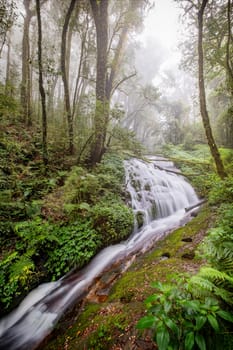 Water flowing at a beautiful waterfall at Inthanon nation park, Chiangmai, Thailand. Long exposure photography.