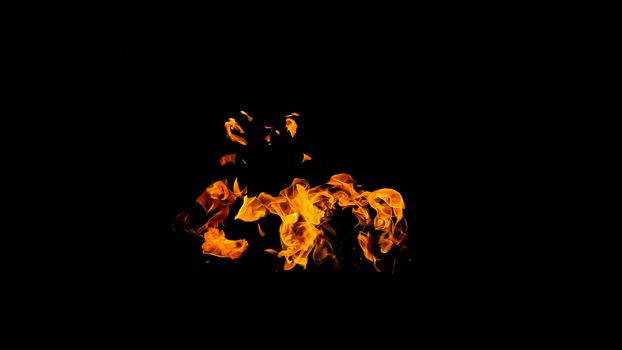 Fire flames on black background isolated. Burning gas or gasoline burns with fire and flames. Flaming burning sparks close-up, fire patterns. Infernal glow of fire in the dark with copy-space