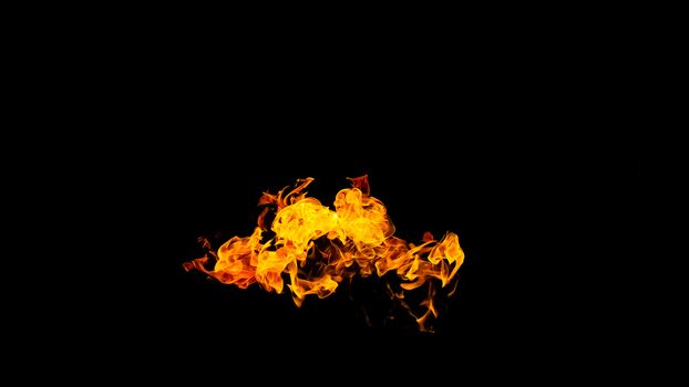 Fire flames on black background isolated. Burning gas or gasoline burns with fire and flames. Flaming burning sparks close-up, fire patterns. Infernal glow of fire in the dark with copy-space