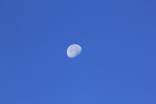 Moon lonely sky. Day time striking in the sky.