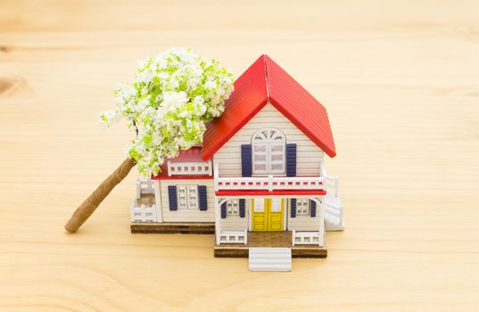 Fallen Tree Home Insurance Concept. Falling trees on home or house for insurance concept or disaster category. Home insurance concept in 
business category.