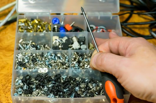 man hand and a set of different bolts, nuts for a computer in a box, sorted by cells