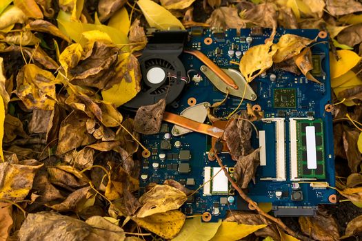 Electronic computer motherboard lying on the street in the autumn yellow fallen leaves
