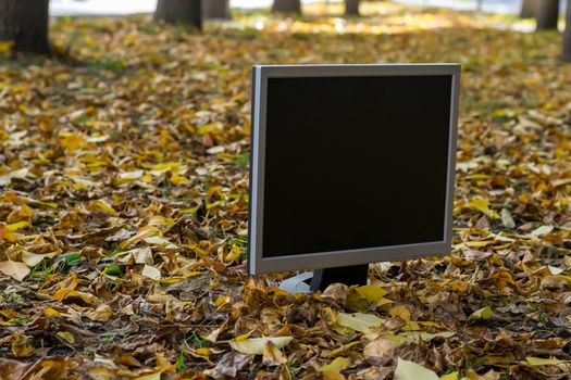 The monitor from the computer is on the autumn yellow foliage in the yard on the street