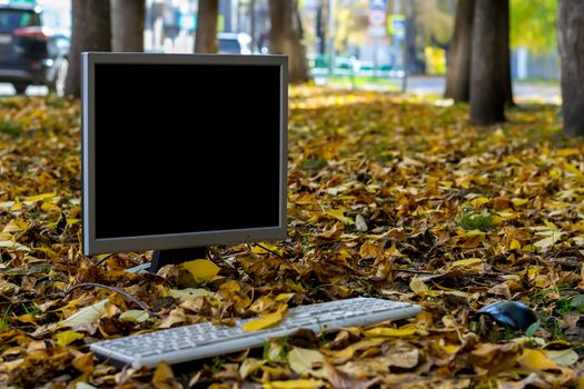 Computer, monitor, keyboard are on autumn yellow foliage on the street