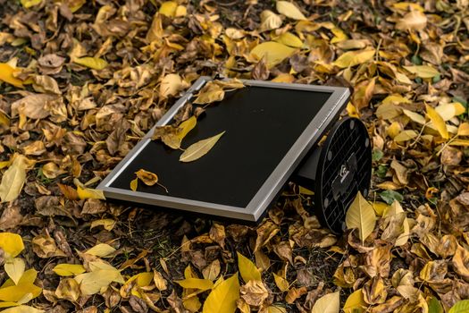 Monitor from the computer is lies on the autumn yellow foliage in the yard on the street