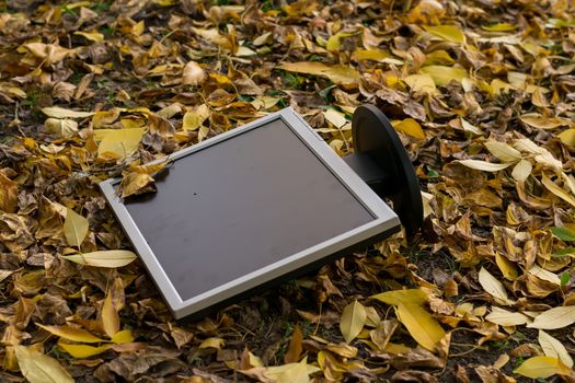 Monitor from the computer is lies on the autumn yellow foliage in the yard on the street