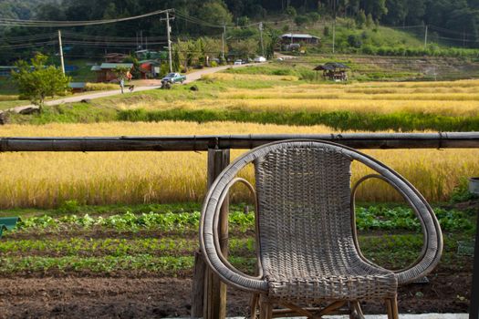 relaxing chair with yellow rice terraces background