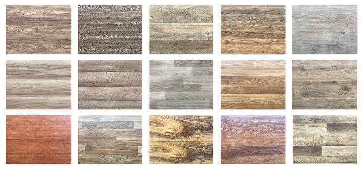 Set of wood texture background for architectural and engineering construction material. Interior design. Architectural materials,Samples of a wood material for new construction or renovate building or home renovate.