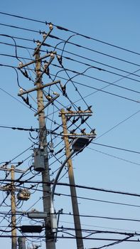 electric pole in Japan with blue sky background. Electricity Power Supply  transfer energy electrical tecnology on cable wire. Equipment for power lines on the electric pole.