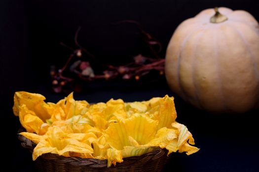 Pumpkin flowers and pumpkin on dark background