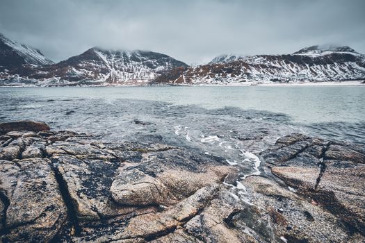 Rocky coast of fjord of Norwegian sea in winter with snow. Haukland beach, Lofoten islands, Norway