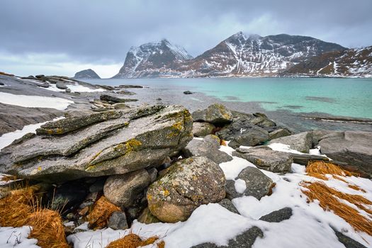 Rocky coast of fjord of Norwegian sea in winter with snow. Haukland beach, Lofoten islands, Norway