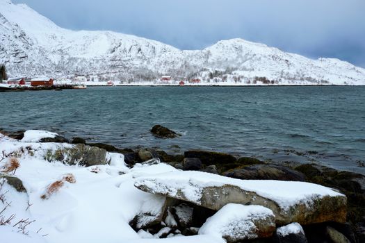 Norwegian fjord with traditional red rorbu houses on fjord shore in snow in winter. Lofoten islands, Norway