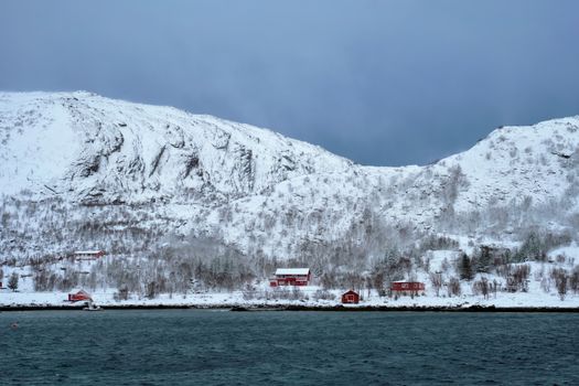 Traditional red rorbu houses on fjord shore in snow in winter. Lofoten islands, Norway