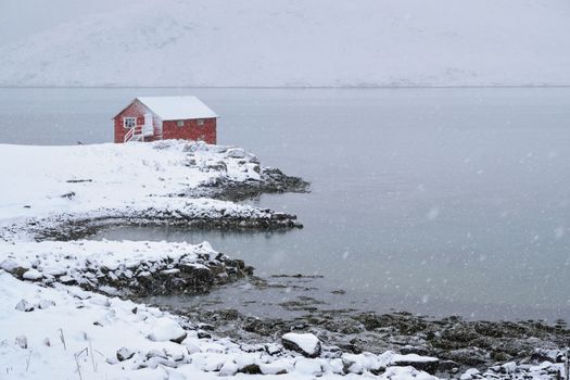 Traditional red rorbu house on fjord shore with heavy snow in winter. Lofoten islands, Norway