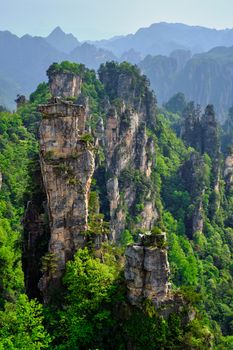 Famous tourist attraction of China - Zhangjiajie stone pillars cliff mountains on sunset at Wulingyuan, Hunan, China