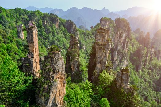 Famous tourist attraction of China - Zhangjiajie stone pillars cliff mountains on sunset at Wulingyuan, Hunan, China