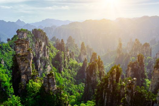 Famous tourist attraction of China - Zhangjiajie stone pillars cliff mountains on sunset at Wulingyuan, Hunan, China