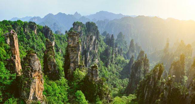 Panorama of famous tourist attraction of China - Zhangjiajie stone pillars cliff mountains on sunset at Wulingyuan, Hunan, China