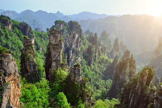 Famous tourist attraction of China - Zhangjiajie stone pillars cliff mountains on sunset at Wulingyuan, Hunan, China