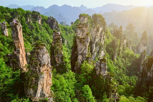 Famous tourist attraction of China - Zhangjiajie stone pillars cliff mountains on sunset at Wulingyuan, Hunan, China