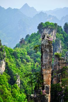 Famous tourist attraction of China - Zhangjiajie stone pillars cliff mountains on sunset at Wulingyuan, Hunan, China