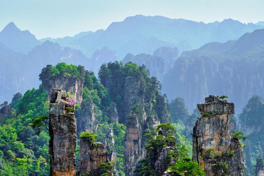 Famous tourist attraction of China - Zhangjiajie stone pillars cliff mountains on sunset at Wulingyuan, Hunan, China