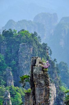 Famous tourist attraction of China - Zhangjiajie stone pillars cliff mountains on sunset at Wulingyuan, Hunan, China